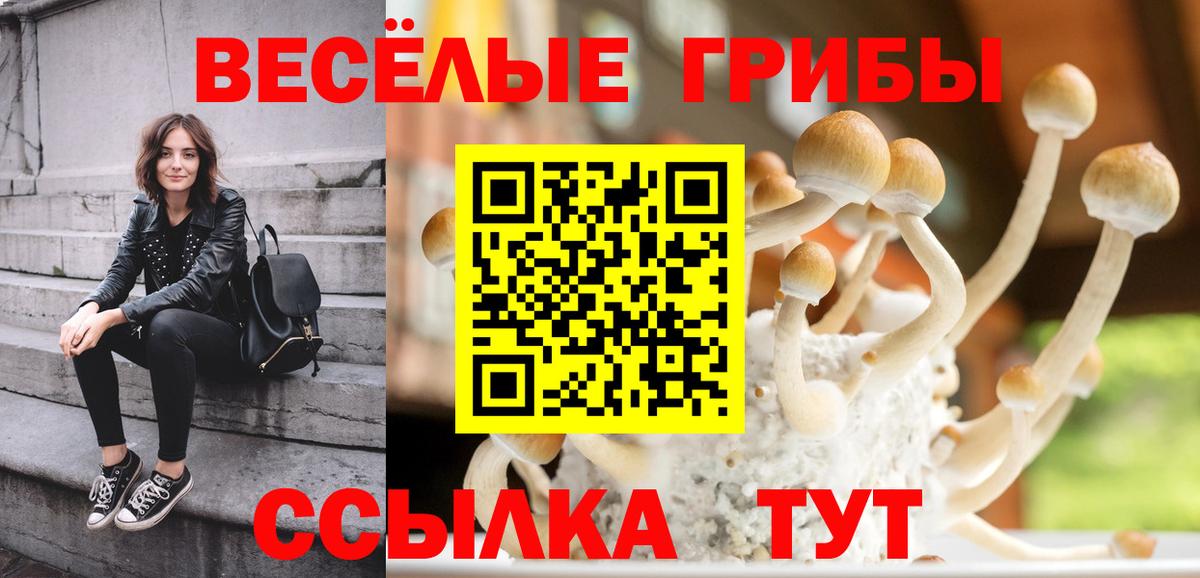 Псилоцибиновые грибы Psilocybe Ишимбай